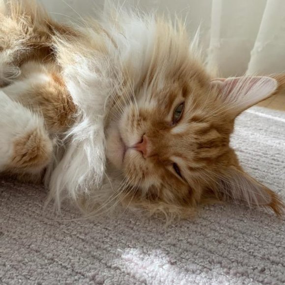 Namaste - Picture 4 of 16